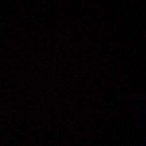 Meet your Posher, Bailey